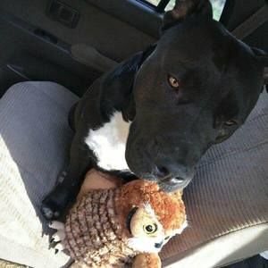 Meet your Posher, Nathan